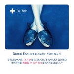 <b>닥터</b>피쉬 - 몸을 치료하는 물고기