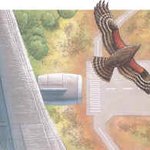 미사일만큼 무서운 조류충돌[ bird strike ]