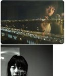 배두나가 <b>직접</b> 찍은 본인 카메라들