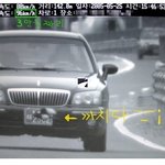 온 몸을 던져 <b>은혜</b>를 갚은 까치