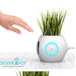 직장인들을 위한 디지털 화분 디자인~