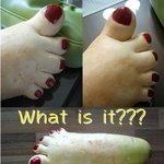 진정한 무(우) <b>발의</b> 지존?!