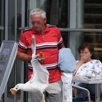 본격 <b>대낮</b>에 아이스크림 뺏기는 사진