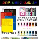 유행에 <b>민감</b>한 그분들