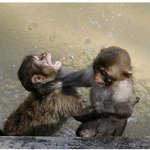 나의 당수꽃기에 <b>자비</b>란 없다