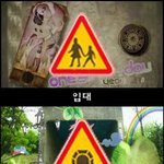 예비역 눈에만 보여? 군대 표지판! 폭소!