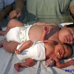 6.4kg 강호<b>동급</b> 신생아!