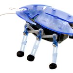 주인을 알아보는 벌레 <b>로봇</b>