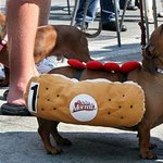 진정한 핫도그(<b>hot</b> dog)