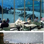 두바이 <b>사막</b>에서 즐기는 스키!