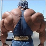<b>성장</b>호르몬 투여한 미국소가 생각나는 사진..
