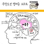 무한도전 멤버들의 뇌<b>구조</b>