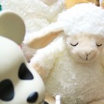 코고는 <b>인형</b>
