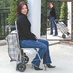 <b>접이식</b> 의자 겸용 쇼핑 카트