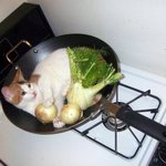 보일러기능 있는 고양이 <b>침대</b>