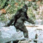 괴생명체 사진들 - 설인, 반<b>조어</b>,거대 메뚜기,대왕 오징어,거대...