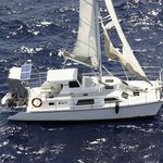 승무원이 사라진 '호주 유령선'