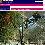 일주일만에 1.6m자란 <b>자크</b>의 콩나무?