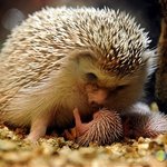 아이구! 귀여운 내<b>새끼</b>ㅠㅠㅠㅠ
