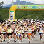 <b>dmz</b>를 달리며..