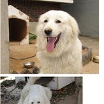너무 더워서 벗었습니다