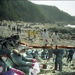 박지윤 <b>태안</b>에서 봉사활동 하는 모습~사진이 멋있는데요!
