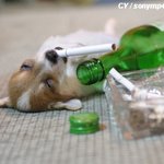 『 여친과 헤어졌을 때 (장르별)