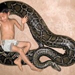 6살꼬마의 베스트 <b>프렌드</b>는 6m비단 구렁이?