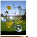 아름다운 이색 <b>꽃병</b>들