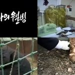 <b>kbs</b> '인간극장', '그남자의 웰빙' 웰빙은 없고 탐욕만 있다...