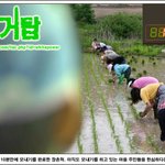 하얀거탑 패러디, 이젠 '<b>녹색</b>거탑'이 대세??