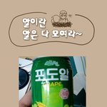 세상의 수많은 알들!!
