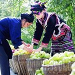中인터넷이 만든 <b>미녀</b> mm