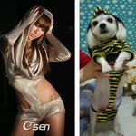 서인영을 능가하는 섹시한 패션을 선보이는 강아지~