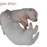 섹시한 자매들 ~~ㅋㅋ