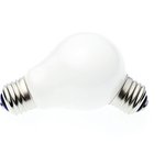 <b>전구</b>를 꼽은거죠?