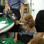 복돌이의 신체포기<b>각서</b>!