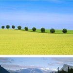 그림이 아니라구! 스웨덴 <b>동화</b> 풍경