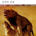 남자의 <b>일생</b>