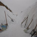 러시아 군인들의 <b>삽질</b>, 못당하겠네