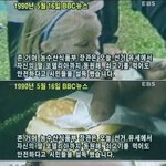 영국의 쇠고기 <b>사례</b>