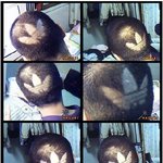 아디다스에서 <b>스폰</b>받았니?