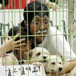 개고기 먹지 마요!! 만감이 <b>교차</b>하는 장면이네~