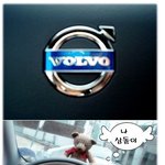 배슬기, 외제차 생겨서 한참 자랑중~!