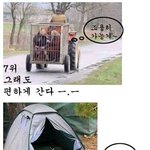 <b>비정</b>한 남편 순위별 베스트