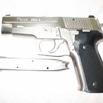 니켈, <b>투톤</b> 시그 p226