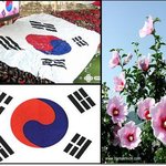 나는 자랑스런 태국기 앞에...