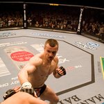 터졌다! 크로캅의 불꽃하이킥