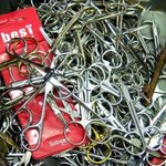 가위일까? 거미일까? 정답은...