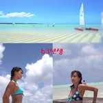60년<b>대생</b> 몸짱 연예인, 운동만 하면 다 된다?